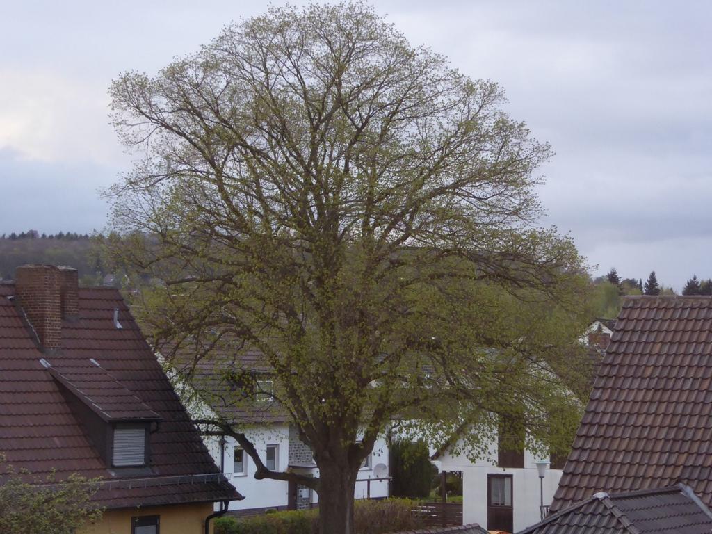 Ferienwohnung Max Kassel Zewnętrze zdjęcie
